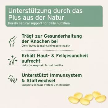 Lachsöl Omega 3 - Kapseln
